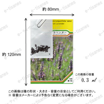 楽天市場 ラベンダー オールドイングリッシュ ハーブの種 ネコポス対応可能 ハーブティー専門店 E ティザーヌ 楽天市場 ラベンダー オールドイングリッシュ ハーブの種 ネコポス対応可能 ハーブティー専門店 E ティザーヌ