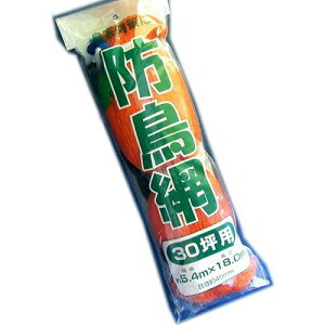 [Rp]@hԁ@45mmڍi30؁j@