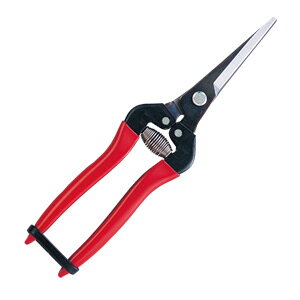 yAXzEGNXgO^Cv(tJX^-nKbN)300LL-BP