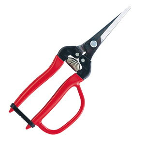 yAXzEGNXgO^CvK[ht(tJX^-nKbN)300LL-G-BP