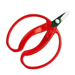 yAXz̎@咼(tJX^-nKbN)400-BP