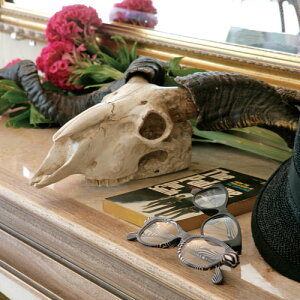 READING GLASSES BLACK/SCALE 3.0 ���[�f�B���O�O���X YGH55BKS/3 / DULTON �_���g��