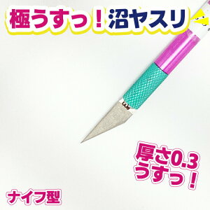 �A�C�K�[�c�[�� �ɂ������I �����X�� ����0.3mm �i�C�t�^ �p�x22° #800 EDU22-3800F �z���_�[�t��