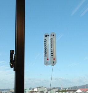 �y�V�����z�v�`�T�[���c�C���������O�p72957