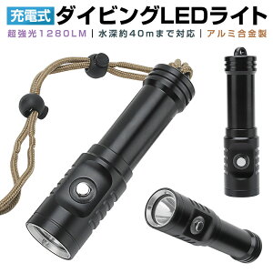 �����d�� ���[40m�g�p�� L2 LED���� ���������d�� �h�� �_�C�r���O�n���h���C�g LED�n���f�B���C�g �_�C�r���O���C�g ���� 18650�d�r �[�d�� �ύ��� ������1280LM ���j IPX8�h�� LED���C�g ���� �_�C
