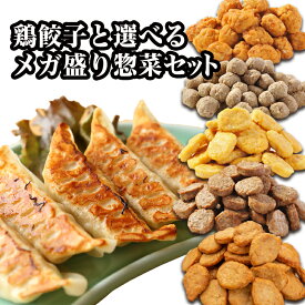 【送料無料】 餃子 大人気 焼き鳥屋の 鶏餃子 (500g 1個約28g) と 選べる メガ盛り お惣菜 2パック ギョウザ ギョーザ 鶏 惣菜 鳥 大量 冷凍 おかずセット 鶏肉餃子 詰め合わせ ハンバーグ 唐揚げ から揚げ チキンナゲット ミートボール つくね おツマミ おそうざい 冷凍総菜