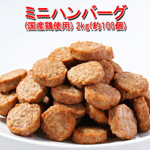 ハンバーグ お 弁当 冷凍