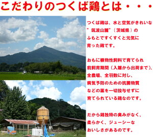楽天市場 送料無料 つくば鶏 鶏もも肉 むね肉セット もも肉2kg むね肉2kg 合計4kgセット 茨城県産 特別飼育鶏 柔らかくジューシーな味 唐揚げにも最適な鳥肉 バーベキュー qにも最適 マーちゃんマート