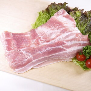 ؃oXCX 2mm 1kg XyCYifn72178j Ԃ ƒp ɂ ؓ u^    Ⓚ o[xL[ BBQ Ɩp