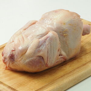 ЂȒ ی{ 1.3kg(uWY) (pr)(09060) Ƃ ƒp ɂ {     { Ⓚ o[xL[ BBQ Ɩp