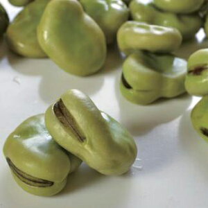 瓤 500gyⓀ؁z(nh135005)