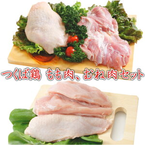 yz Ό{  ނ˓ Zbg (  2kg+ ނ˓ 2kg) v4kgZbg Zbg  {  ނ˓ { Ƃ Y { Ƃނ˓ {ʔ  