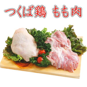 yzΌ{ { 4kg(2kg2pbNł̔)(錧Y)(ʎ{)_炩W[V[Ȗ gɂœK Y Ƃ ƒp ɂ {     { Ⓚ o[xL
