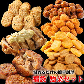 【送料無料】お惣菜 メガ盛り 福袋7品セット(ミニハンバーグ1kg、鶏さつま揚げ800g、チキンナゲット600g、唐揚げ600g、野菜入りミートボール(つくね)1kg、チキン南蛮120g×4パック、豆腐入りミニハンバーグ1kg)まとめ買い 冷凍惣菜 業務用 お弁当 温めるだけ レンジでチン