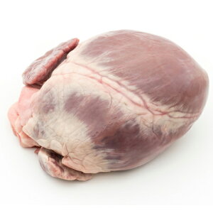 yz؃nc 1(300g`350g)×5pbNZbg Y Ⓚ (sg) Y Ԃ ƒp ɂ ؓ u^    Ⓚ o[xL[ BBQ Ɩp