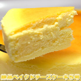 【送料無料】【同梱不可】絶品ベイクドチーズケーキ5号 (SM00010090)