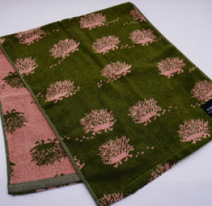tFCX^I LbsX 34×80cm  킢 @ Lb` ʏ Mtgv[gDKi