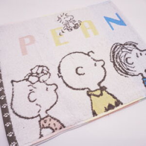 Xk[s[ tFCX^I J[tY 34×80cm {