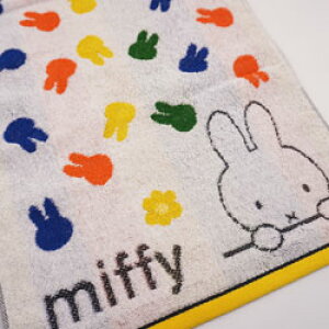 tFCX^I ~btB[XgCvJt ItzCg 34×80cm