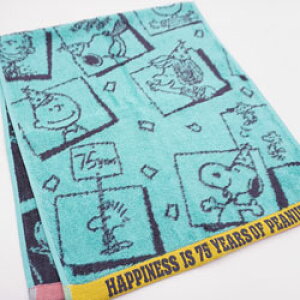 Xk[s[ s[ibc tFCX^I 75th Party u[O[ 34×80cm {