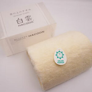 ^I tFCX^I { _ HACOON 34×80cm n ^I  Mtgv[gDKi