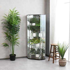 RNVP[X KX RNV{[h R[i[ pɒu KXP[X 50cm 160cm nC^Cv 傫  ~[