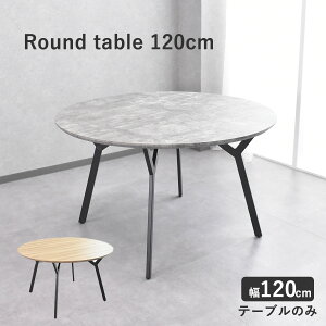 _CjOe[u  120cm 4lp 4l| _CjOe[u ۃe[u Pi 120 4l|p ~` k  i` O[ ubN  120cm ی^ JtF 킢 lC 