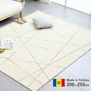 ���O ���� ���O�}�b�g �m�b�g �E�B���g���D���O �����h�o ���[���b�p 200×250cm �E�C���g�� �J�[�y�b�g �O�~ ���_�� ������� �k�� �I�[���V�[�Y���Ή� �z�b�g�J�[�y�b�g�Ή� ���g�[�Ή� �t��