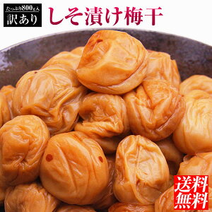 󂠂肵Ђ~Ղ800gIyzyōzyIBY썂~zyAA嗱zy~zyYz