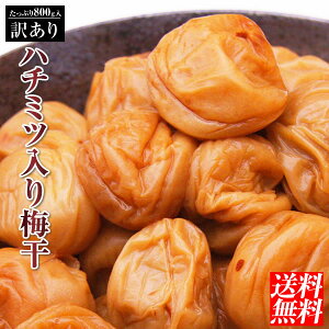 y󂠂z݂͂~800gIyzyzyIBY썂~zyA嗱zyōzy~z