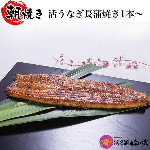 ĂȂyȂX lΎRzȂĂ 115gTCY1{i߂ȂEJȂj