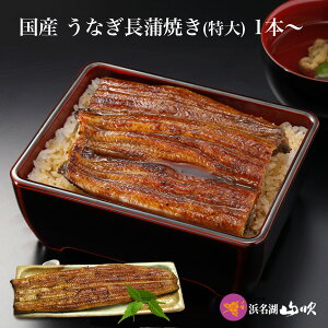 yȂX lΎRzȂ Ă Ȃ ^ ĂyIz140gȏ1{` _V܃fpnV̍ÝAȂBj Mtg v[g 蕨 ȂǂɍœKIHiyEi