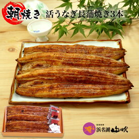 楽天市場 うなぎ 国産の通販