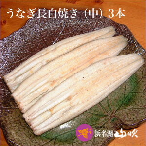 ĂȂmȂX lΎRnȂ Ă  110gTCY 3{ S120-3 _V܃fpnV̍ÝAȂBj Mtg v[g 蕨 ȂǂɍœKIHi EiMi