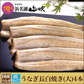 朝焼きうなぎ【うなぎ専門店 浜名湖山吹】活うなぎ 長白焼き 【大】125gサイズ4本 S140-4 о_老舗デパ地下鰻屋の国内産の、うなぎ。お祝い ギフト 贈り物 などに最適！食品 朝じめ 朝焼き【ウナギ、鰻、国産】