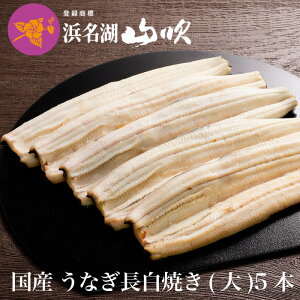 yȂX lΎRzy①ł͂zȂ Ă YȂ ^󒷔Ăyz125gTCY5{ _V܃fpnV̍ÝAȂBj Mtg v[g 蕨 Ȃ