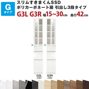 X܂SSD G|J[{l[g o3i^Cv 15`30cm s42cm 180.2cm G3L G3R Z~I[_[ I[_[Ƌ Lb`[ rO[ Y { Jݒu ꕔn