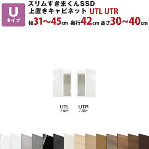 X܂SSD UuLrlbg 31`45cm s42cm 30`40cm UTL UTR Z~I[_[ I[_[Ƌ Lb`[ rO[ Y { Jݒu ꕔn揜 yV C