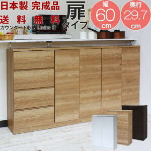 JE^[[ 60 s30 ^ HI [^Cv i A4TCY Lrlbg ql̂ƒłSĎgJE^[[ Links2 NX2 ttbgo[W 60D 60 