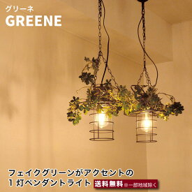 エルックス GREENE 1灯 ペンダントライト LC10963 フェイクグリーン 天然木 スチール 室内 照明 ルームライト 室内照明 おしゃれ ショールーム 展示場 ディスプレイ 一人暮らし ひとり 一人 二人暮らし