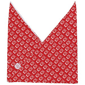 ٓ ZAPP AY} S[ [nJ] ( ٓ~ { a @ l킢 Ad}  ) l炵 ЂƂ l l炵ykCEEzsz