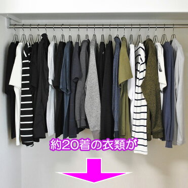 衣類 収納アップ ハンガー 2本組 クローゼット 整理 衣類 収納 ハンガー 一人暮らし ひとり 一人 二人暮らし Room 欲しい に出会える
