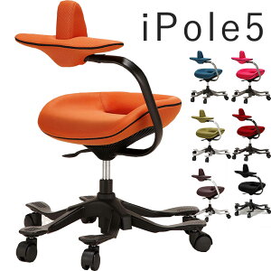 iPole5 `FA W͌̂߂̊wK`FA OA`FA    ֎q CX `FA[ IV  Ƌ CeA