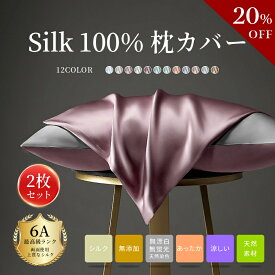【20%OFFクーポン配布中】枕 カバー シルク 100%SILK 2枚 セット ヘアケア保湿 美髪 美肌 さらさら 抗菌 低刺激 スキンケア 22匁 19匁 バイカラー 両面 テンセル ファスナー 封筒型 ピローケース 正絹 ピローケース