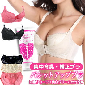 育乳ブラ セット vio色素沈着 美白クリーム 乳首 ピンク わき 黒ずみ ブラジャー フロントホック ショーツ付き！バストアップ ブラ 脇高 脇肉 育乳 バストケア 女子力 3/4カップ はみ肉 スッキリ【バシットアップブラ+ピュアピンキークリーム】