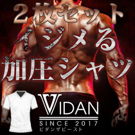 【送料無料！】メンズ 加圧シャツ ジムウェア 【VIDAN THE BEAST（ビダンザビースト）2枚セット】/正規販売店V-0113K