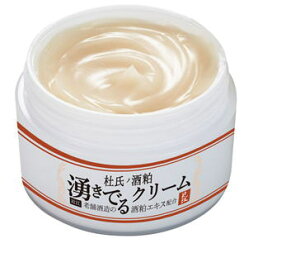 美容液 クリーム オールインワン 年齢肌・毛穴対策 酒粕エキス 米ぬか プラセンタ ホエイエキス【杜氏の酒粕 湧きでるクリーム】