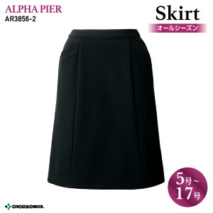  XJ[g AR3856-2 ACXJ[g 傫TCY 15 17 I[V[Y fB[XyAt@sA/`N}zp  jtH[