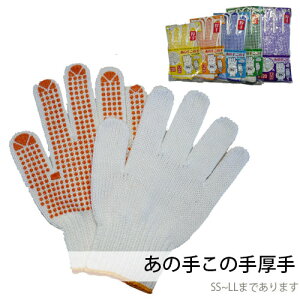 ~ߎ R ̎肱̎ ׂ~ߎ܌ { Ɨp ƒ ƕ