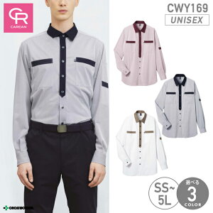 yX[p[Z[N[|zCWY-169 jbgVc jp Y fB[X jZbNXΉ Xgb` z Le[v L[ CAREAN  A ^ | X^bt 